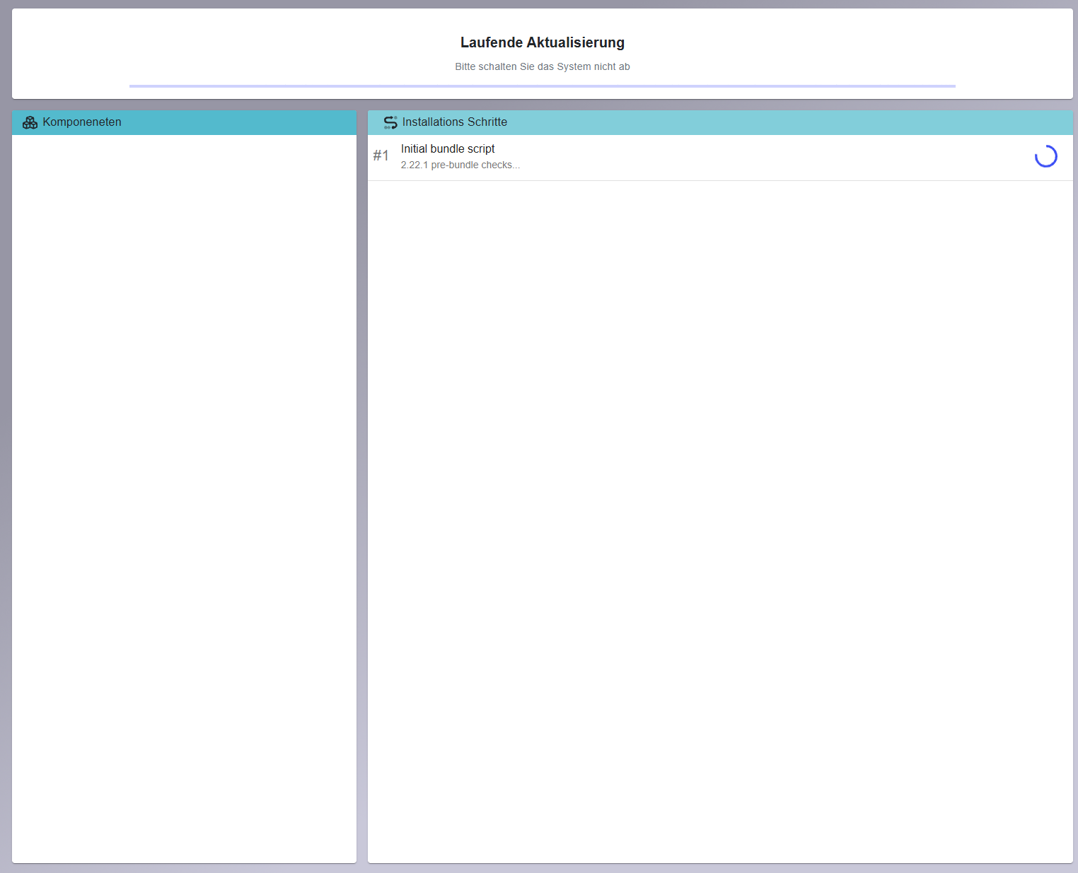 Update installation in progress — initial steps